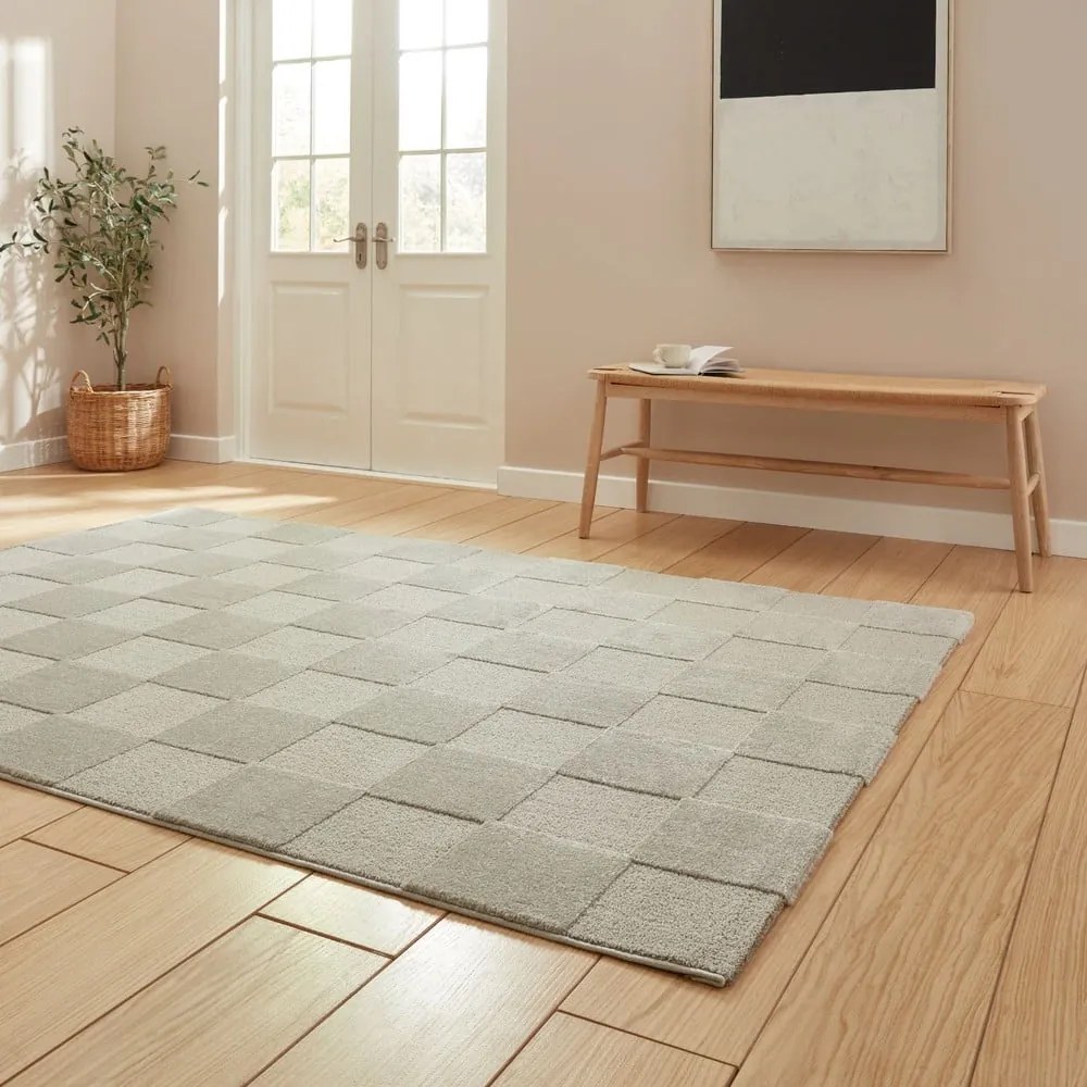 Jasnoszary dywan 200x290 cm Elio Silver – Think Rugs