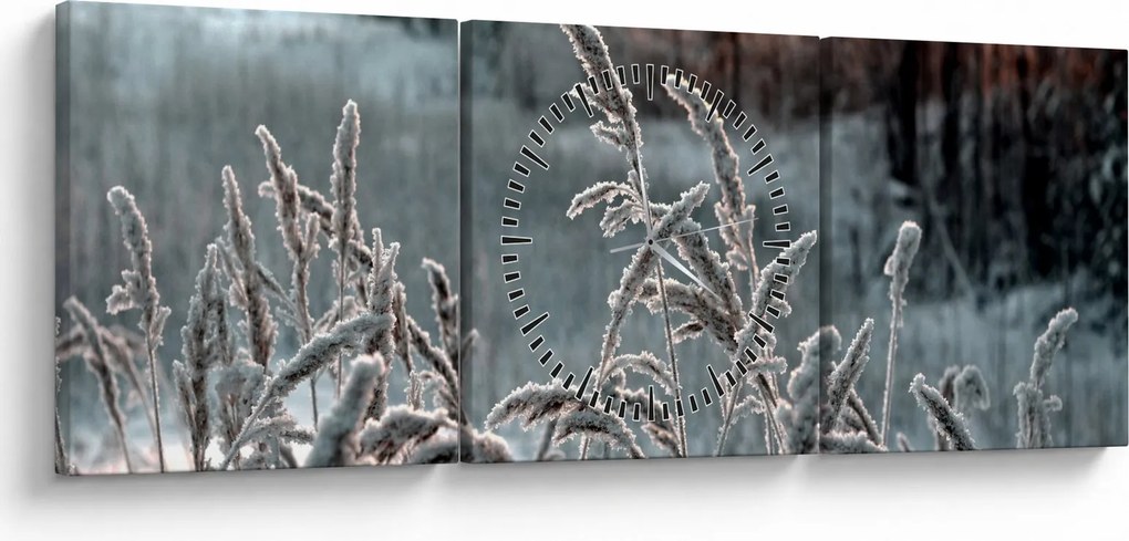 Obraz - Frozen Meadow (z zegarem) (90x30 cm)