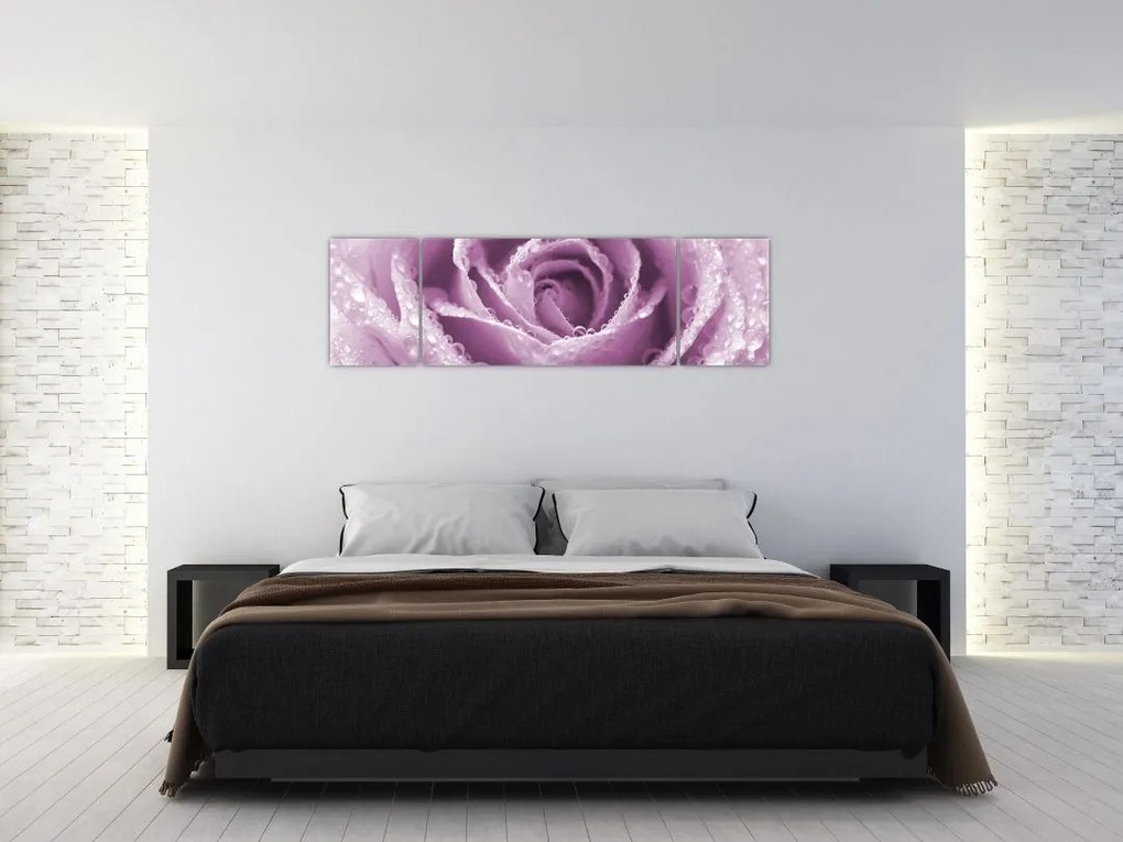 Obraz szczegółu kwiatu róży (170x50 cm)