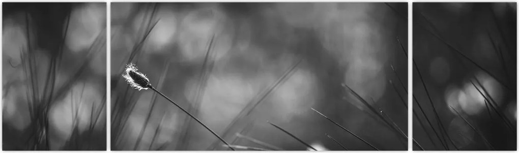 Obraz - Trawa łąkowa (170x50 cm)