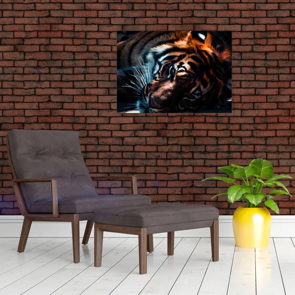 Obraz na szkle leżącego tygrysa (70x50 cm)