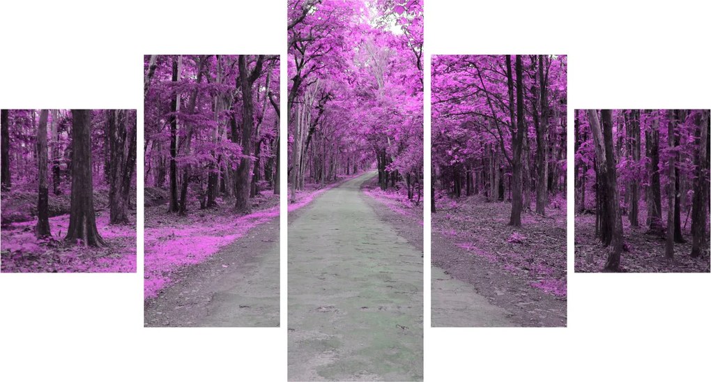 Obraz - Ścieżka przez park (125x70 cm)