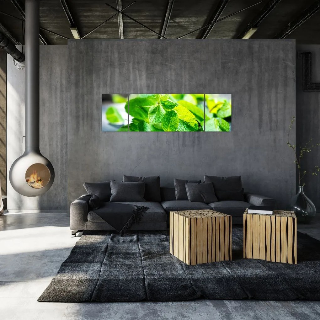 Obraz mięty (170x50 cm)