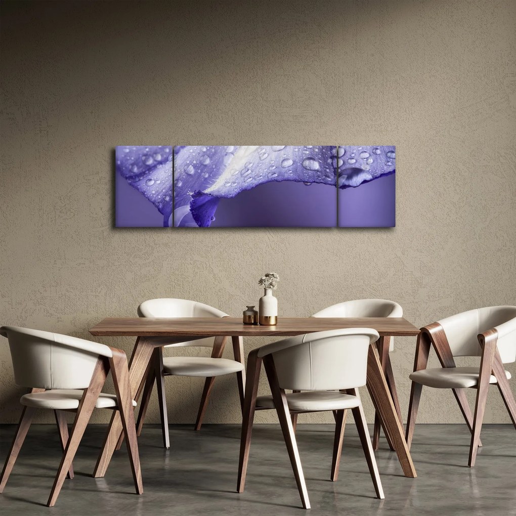 Obraz - Płatek z kroplami (170x50 cm)