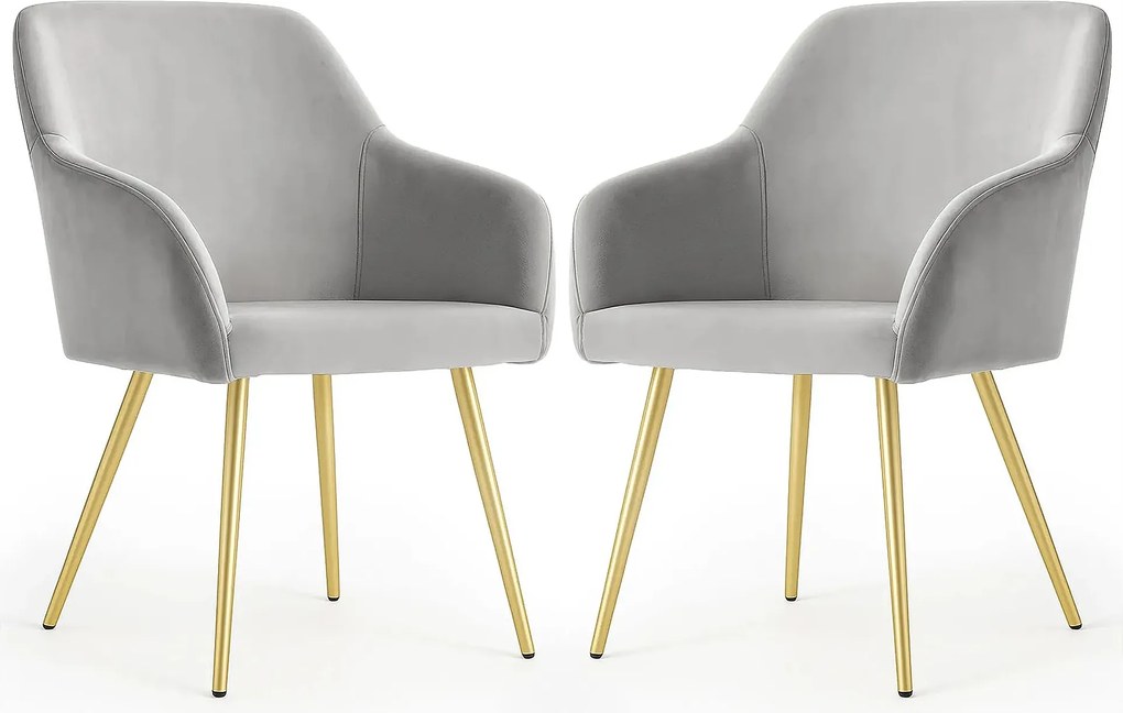 Zestaw 2 szarych krzeseł welurowych - Terviso 3X