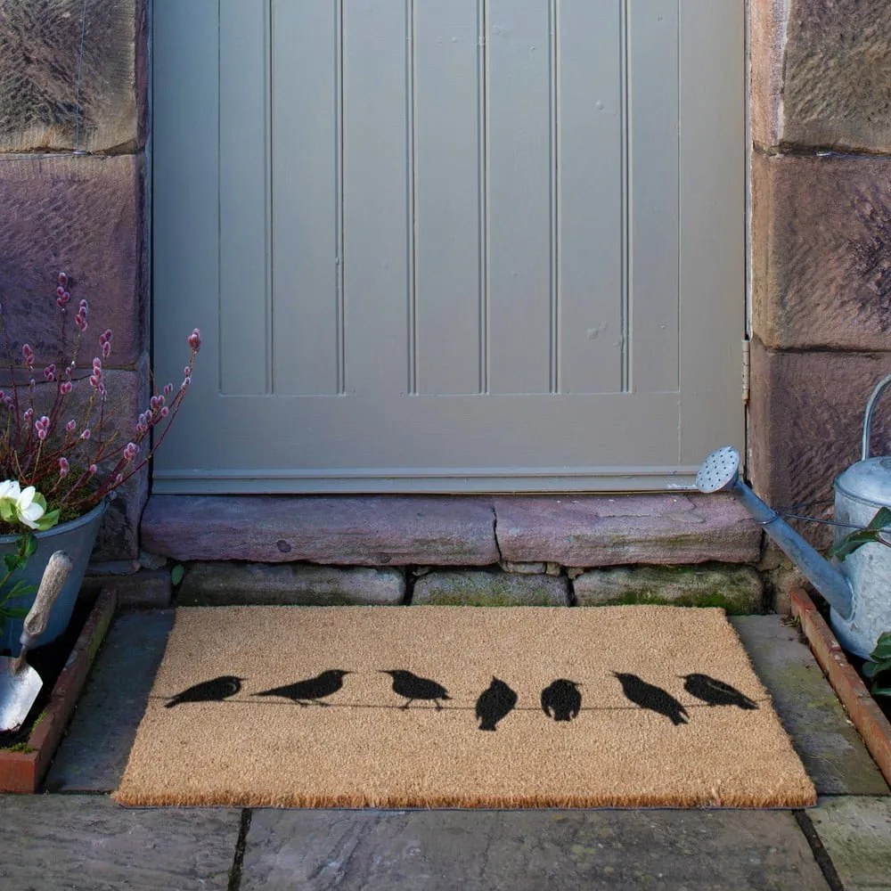 Wycieraczka z włókna kokosowego 40x60 cm Birds On a Wire – Artsy Doormats
