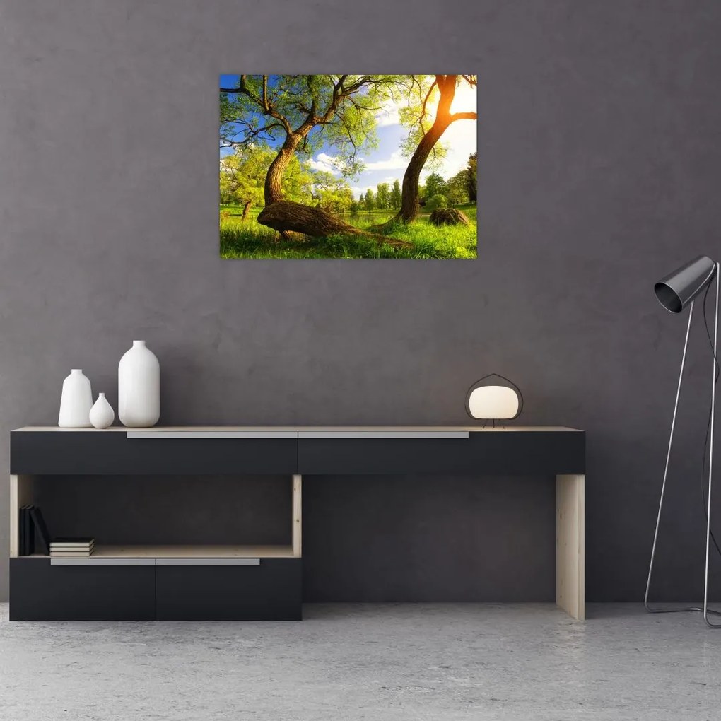 Obraz wiosennej łąki (70x50 cm)
