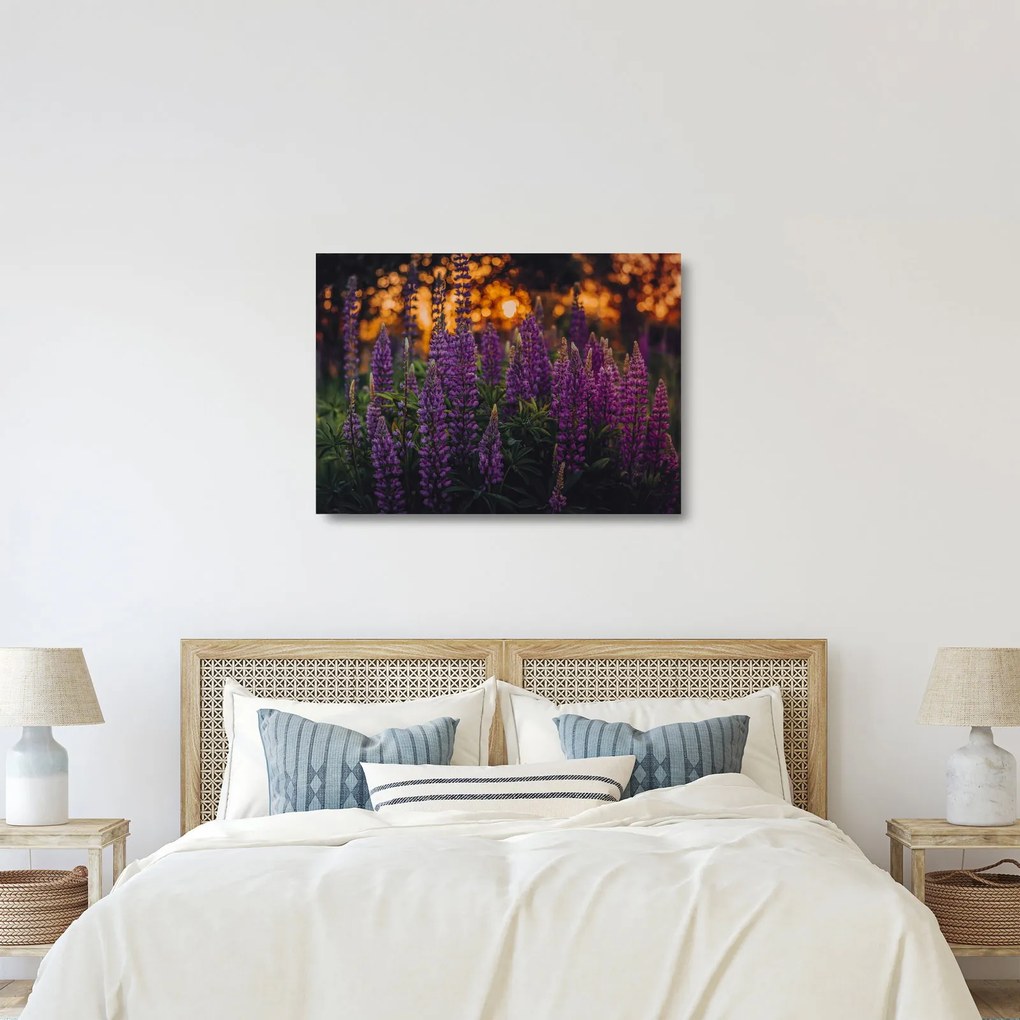 Obraz na szkle kwiatów łubinu (70x50 cm)