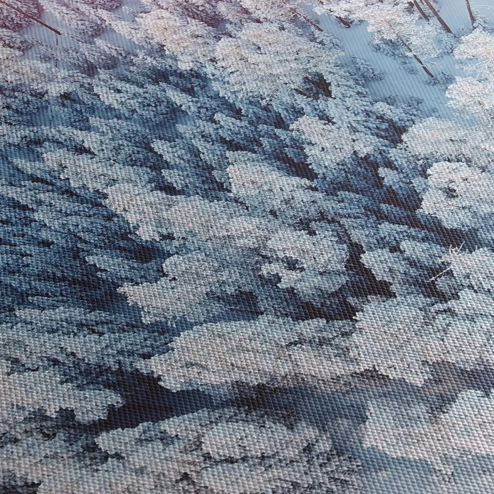 Obraz ośnieżonych drzew (125x70 cm)