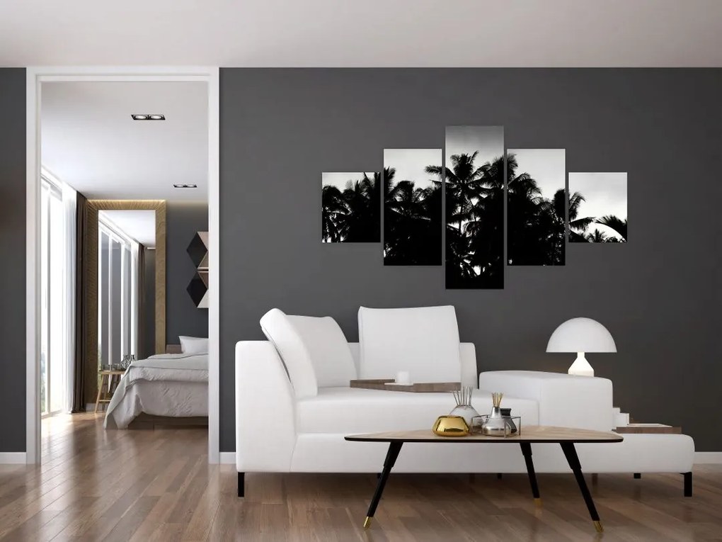 Obraz czarno - biały - palmy (125x70 cm)