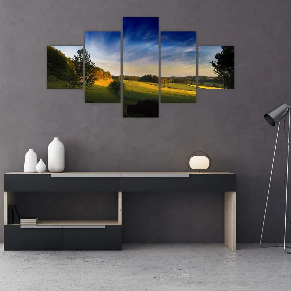 Obraz - Górska łąka (125x70 cm)