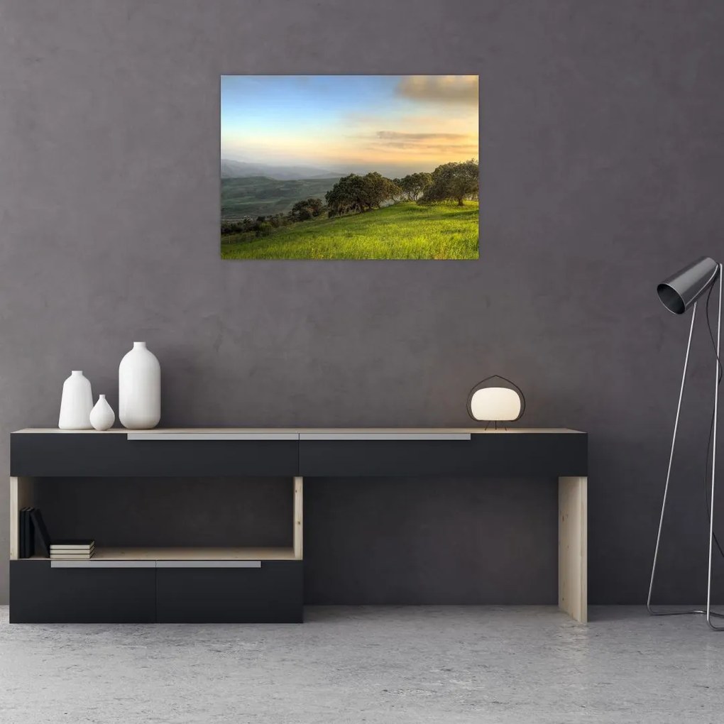 Obraz - Widok ze wzgórza (70x50 cm)