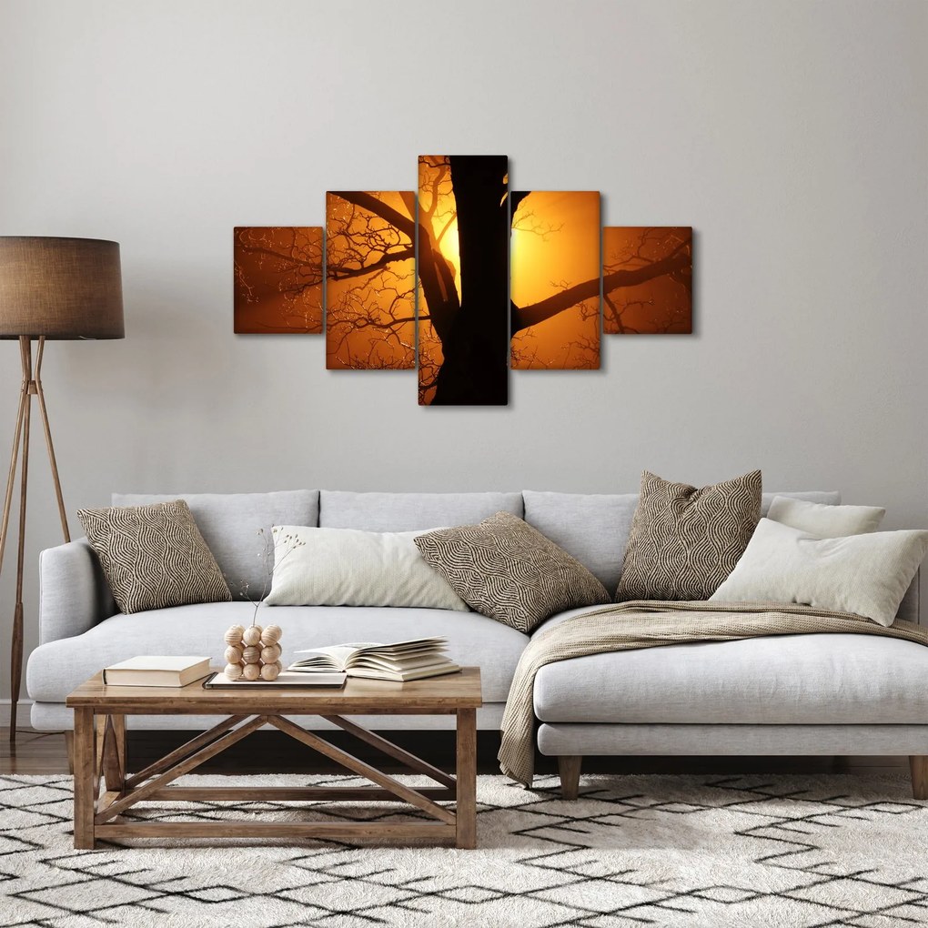 Obraz drzewa o zachodzie słońca (125x70 cm)