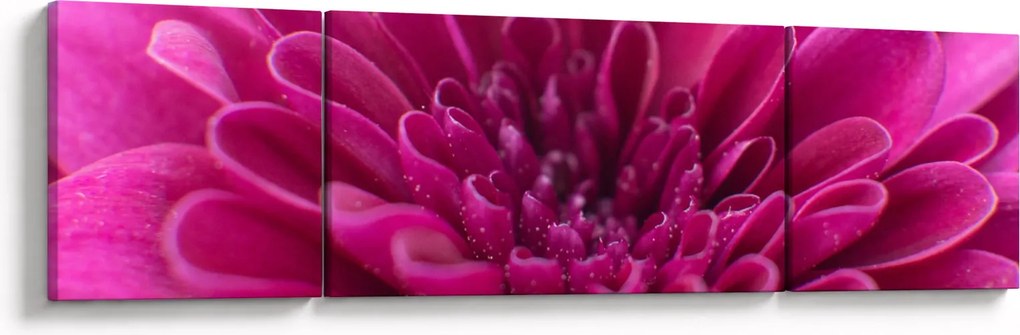 Obraz kwiatu (170x50 cm)