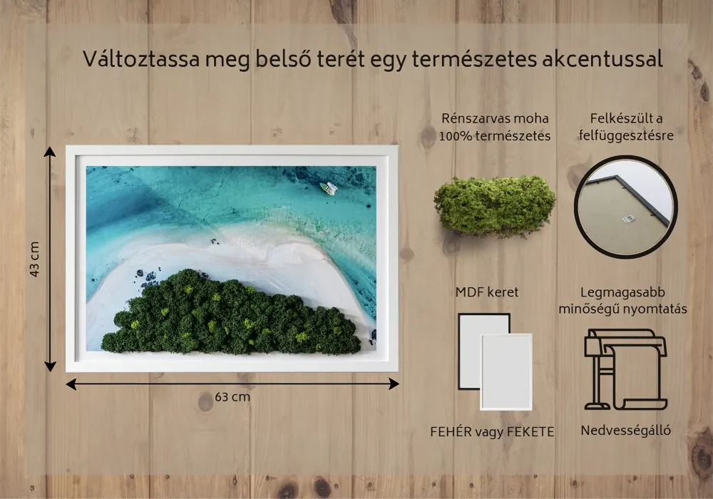 Obraz z mchu Lazurowa plaża