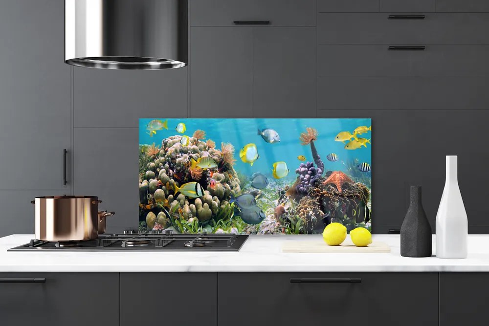 Panel Kuchenny Rafa Koralowa Natura