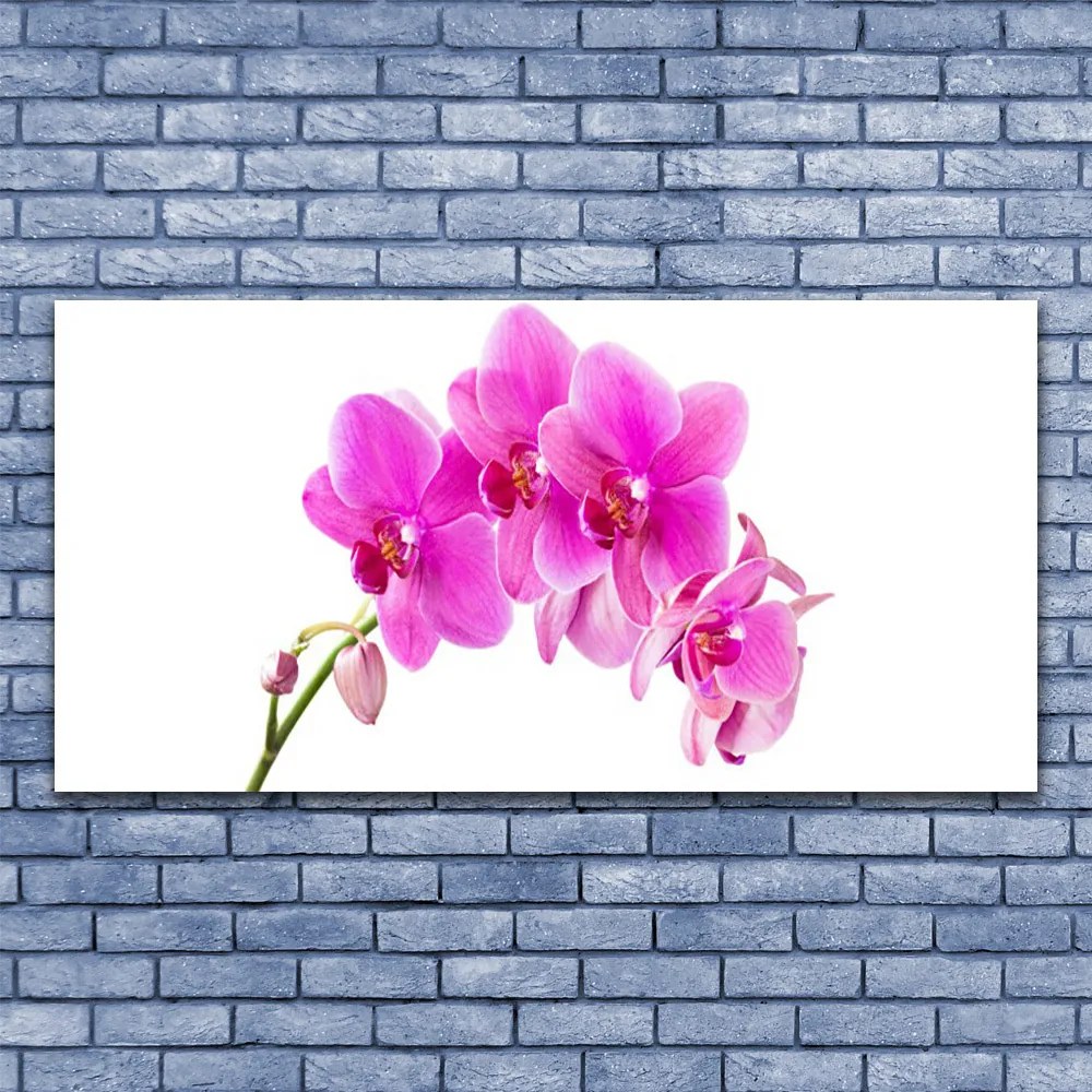 Obraz Canvas Storczyk Kwiat Orchidea