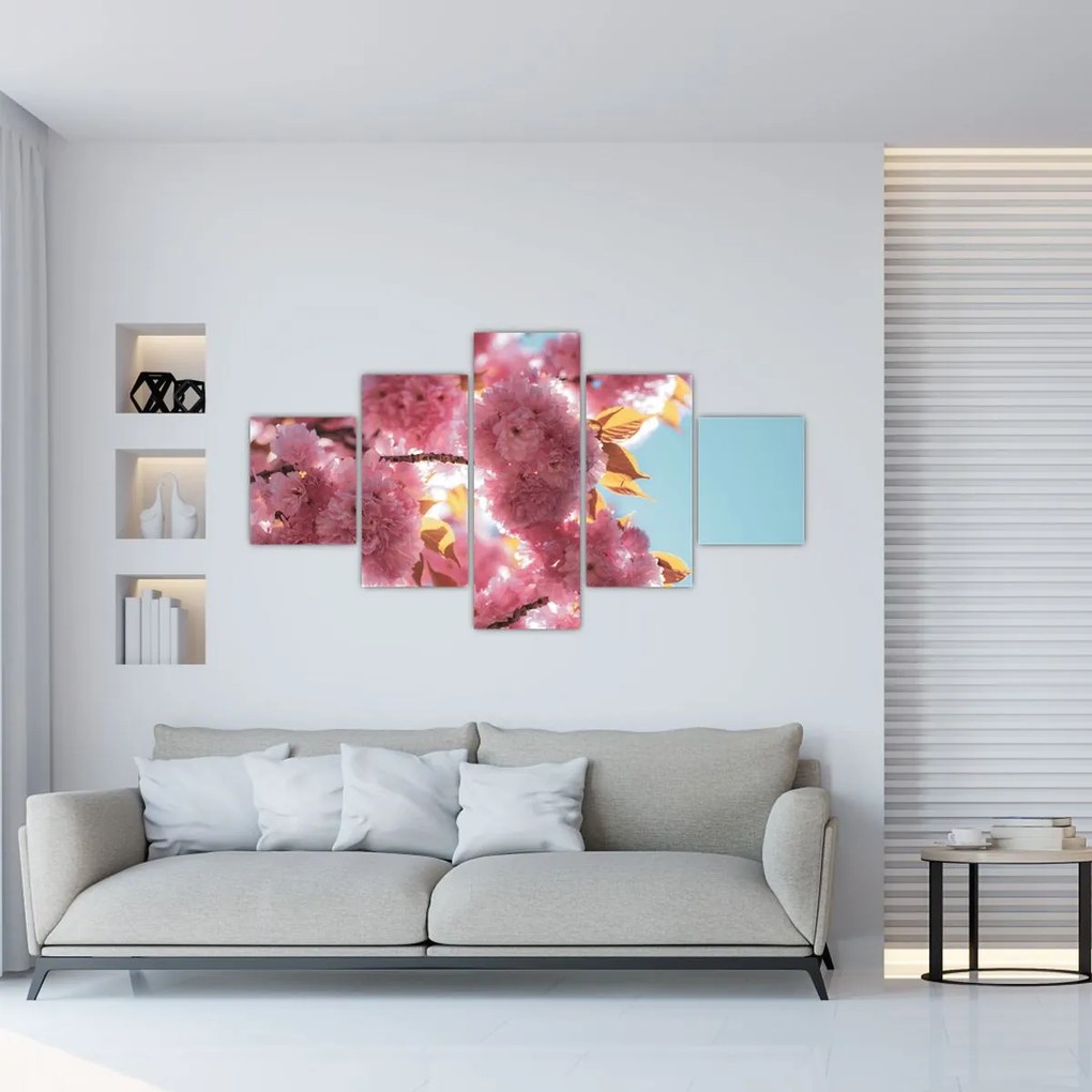 Obraz - Kwiat wiśni (125x70 cm)