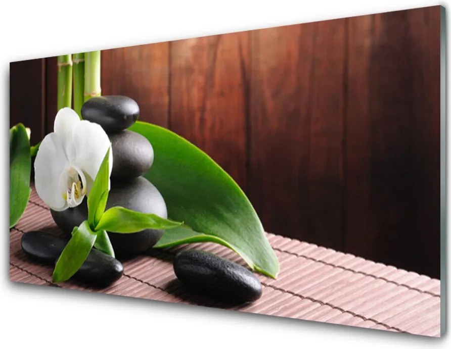 Panel Kuchenny Kwiat Storczyka W Klimacie Spa