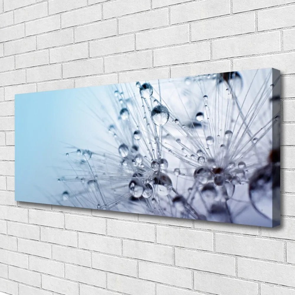 Obraz canvas na ścianę Puszysta Kula Mniszka