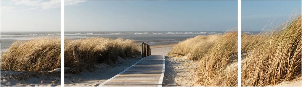 Obraz - Piaszczysta plaża na wyspie Langeoog, Niemcy (170x50 cm)