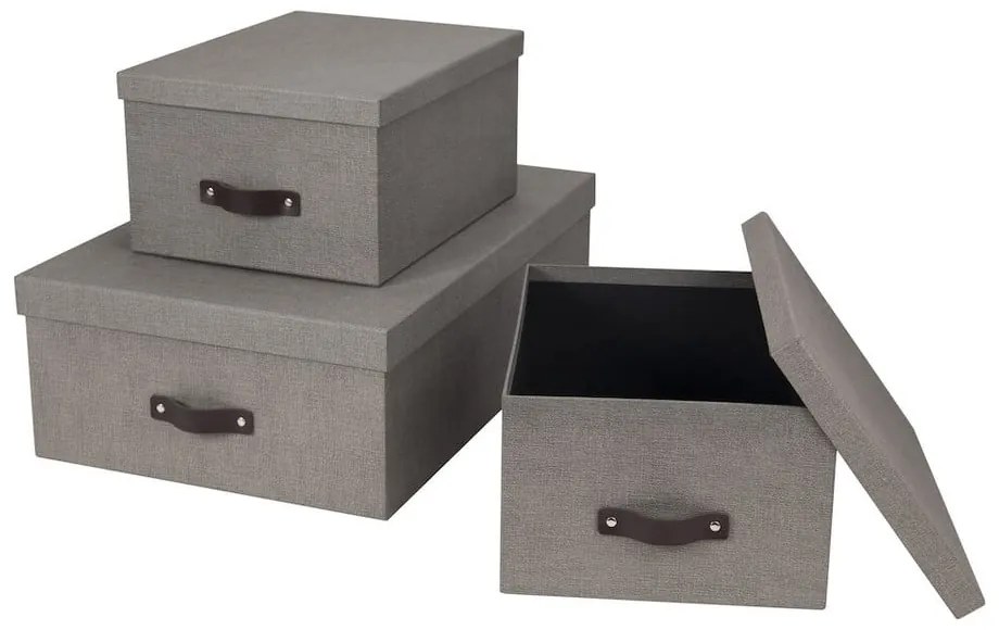Pojemniki z pokrywką zestaw 3 szt. Inge – Bigso Box of Sweden