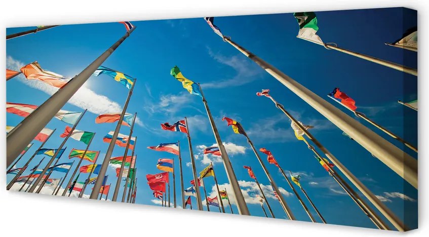Obraz drukowany na płótnie Różnorodne Flagi