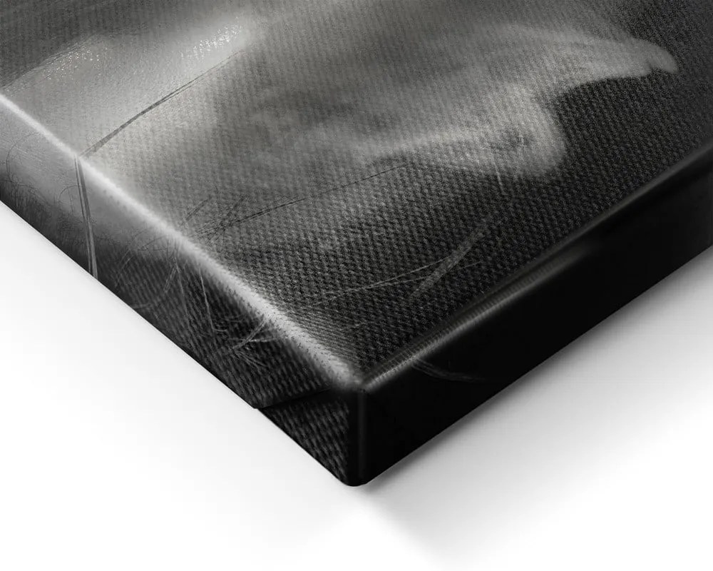 Obraz 70x100 cm Smoke – Styler