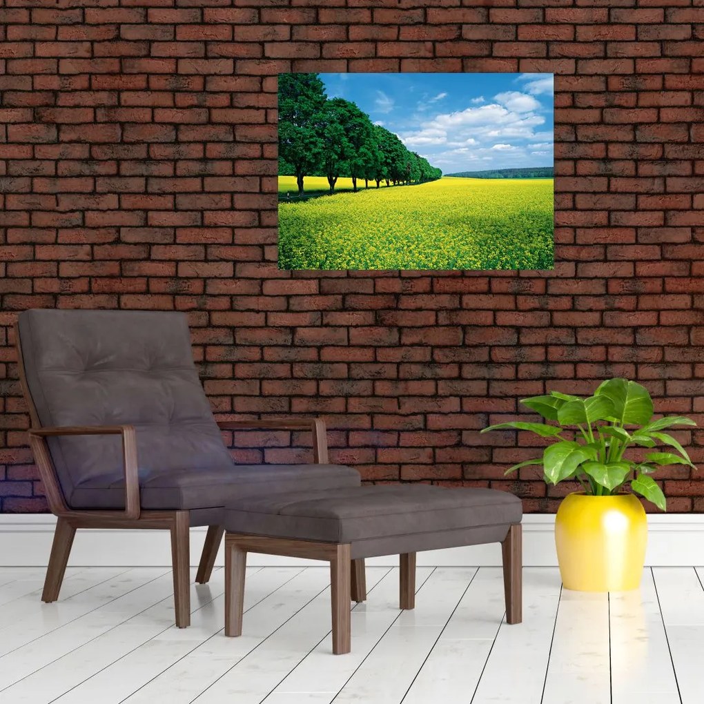 Obraz na szkle pola z aleją (70x50 cm)