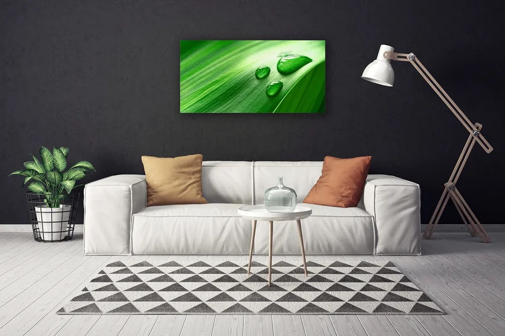 Duży obraz na płótnie Perlista Rosa na Liściu