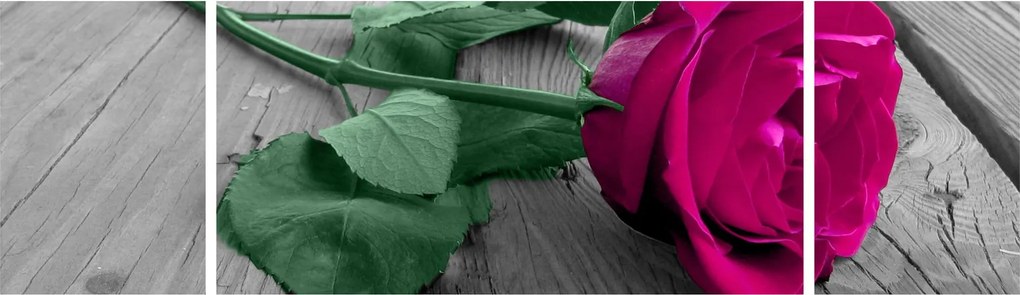 Obraz - Różowa róża z zieloną łodygą (170x50 cm)