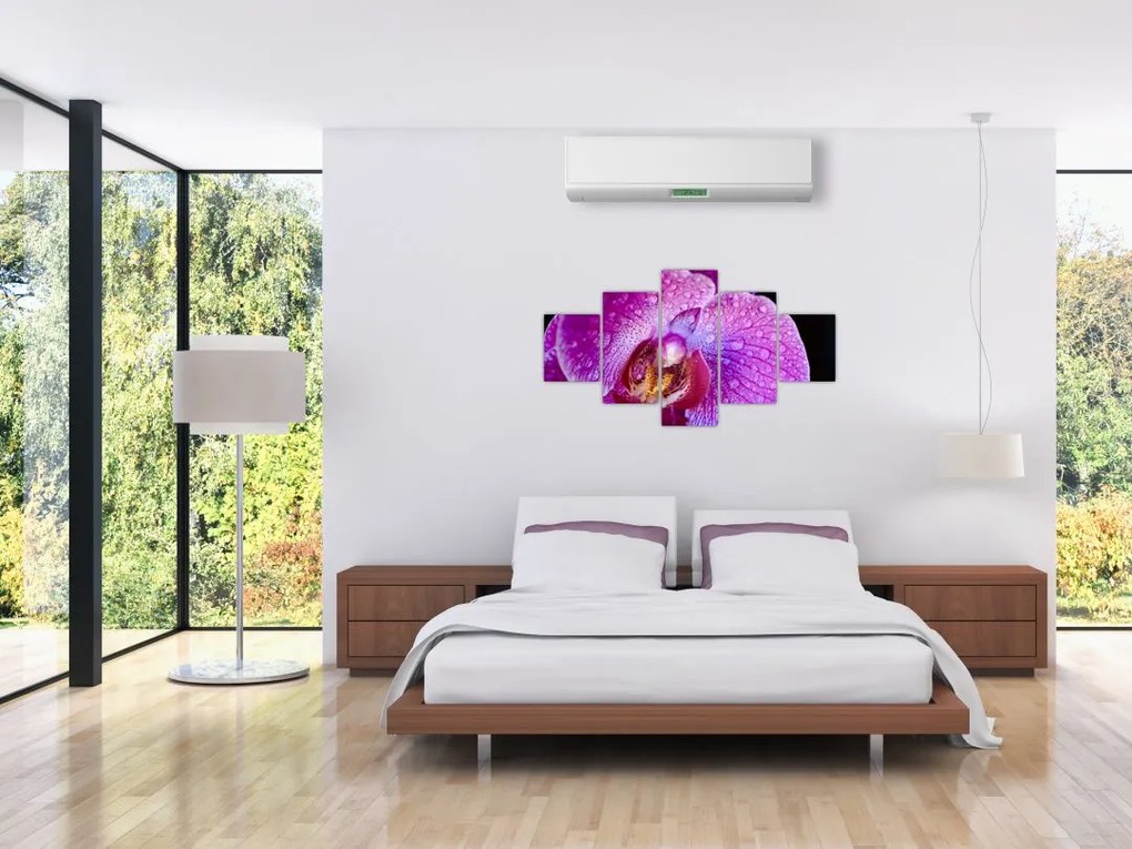 Zbliżenie kwiatu orchidei (125x70 cm)
