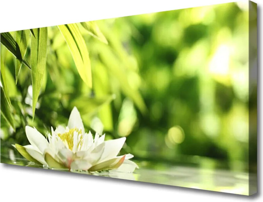 Obraz na płótnie Duet Kwiatu i Liści