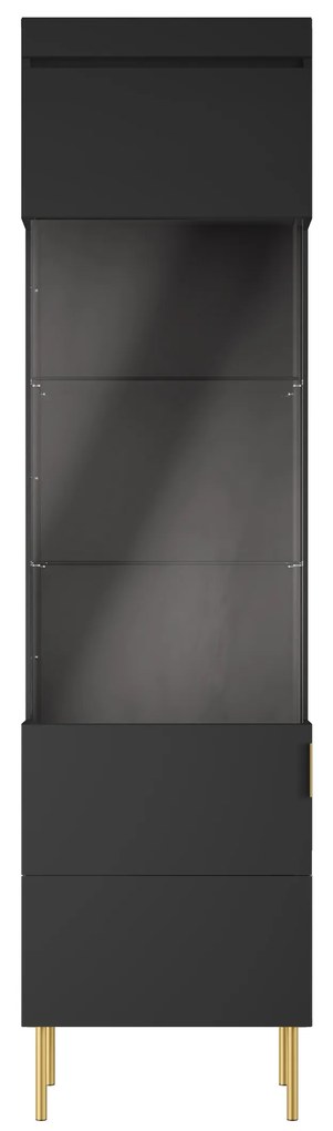 Witryna Sentia 1D do salonu - czarny / złoty