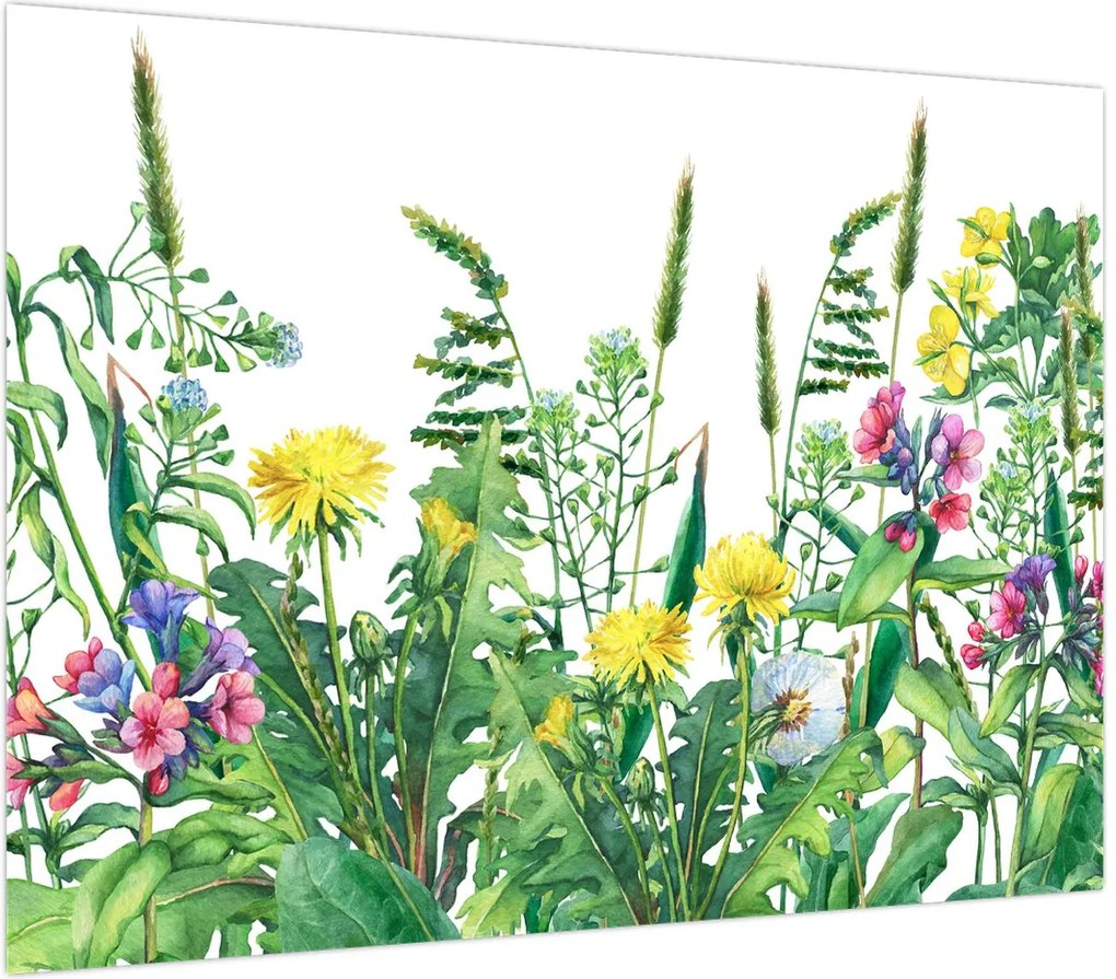 Obraz na szkle - Malowane kwiaty łąkowe (70x50 cm)