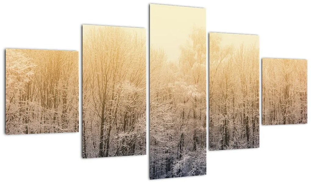 Obraz mroźnego lasu (125x70 cm)