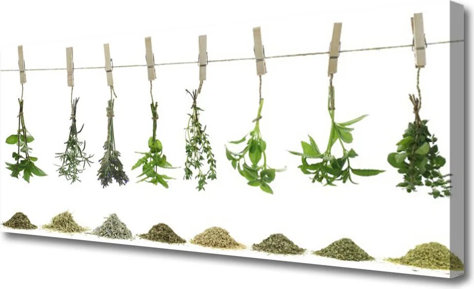 Obraz canvas Świeżość Kwiatów Ogrodowych