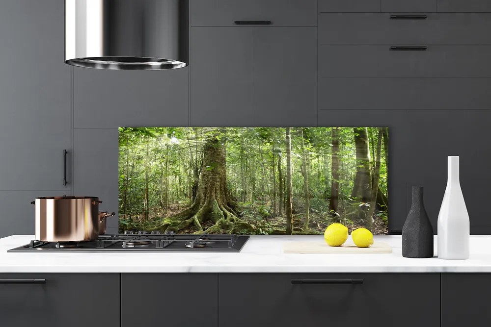 Panel Szklany Las Natura Dżungla Drzewa