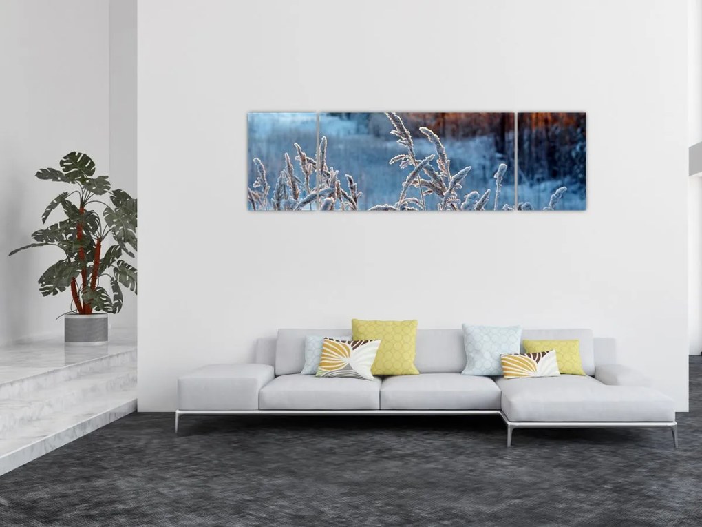 Obraz - Zimowa łąka (170x50 cm)