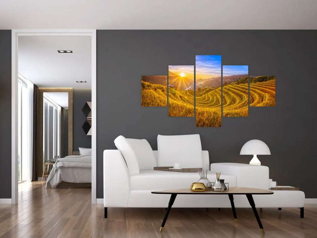 Obraz - Pole ryżowe w Wietnamie (125x70 cm)