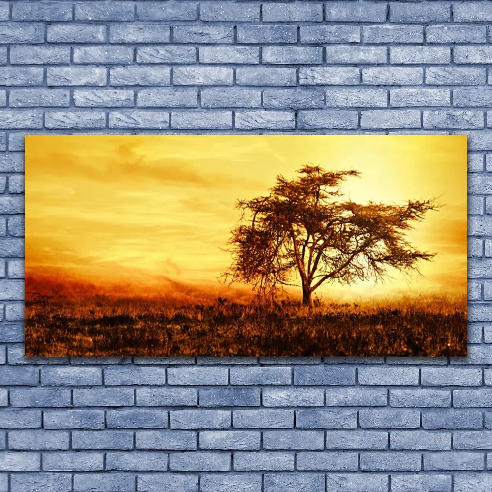 Zdjęcie na płótnie Samotne Drzewo w Rozkwicie