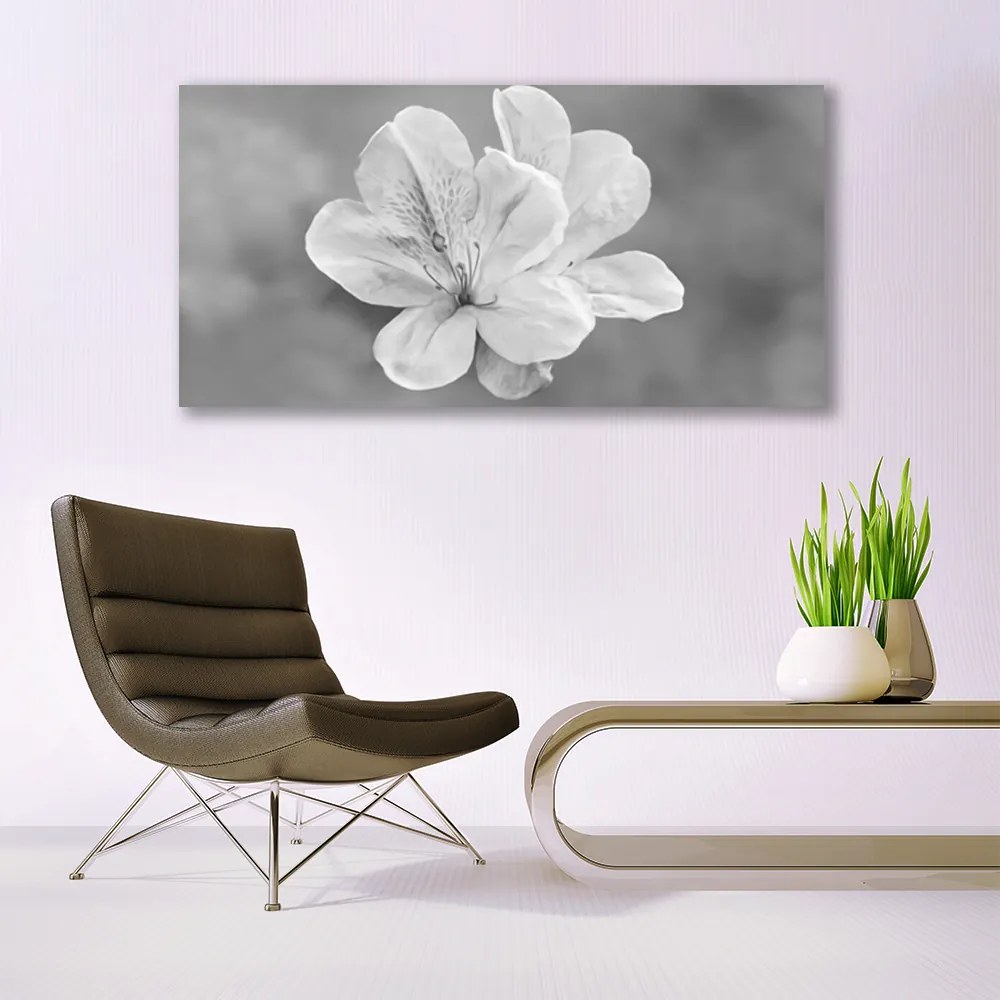 Obraz canvas na ścianę Kolorowy Ogród na Płótnie