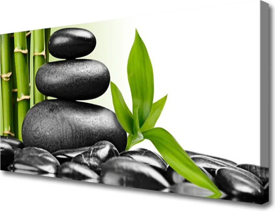 Obraz drukowany na płótnie Harmonia Natury: Kamienie i Liście