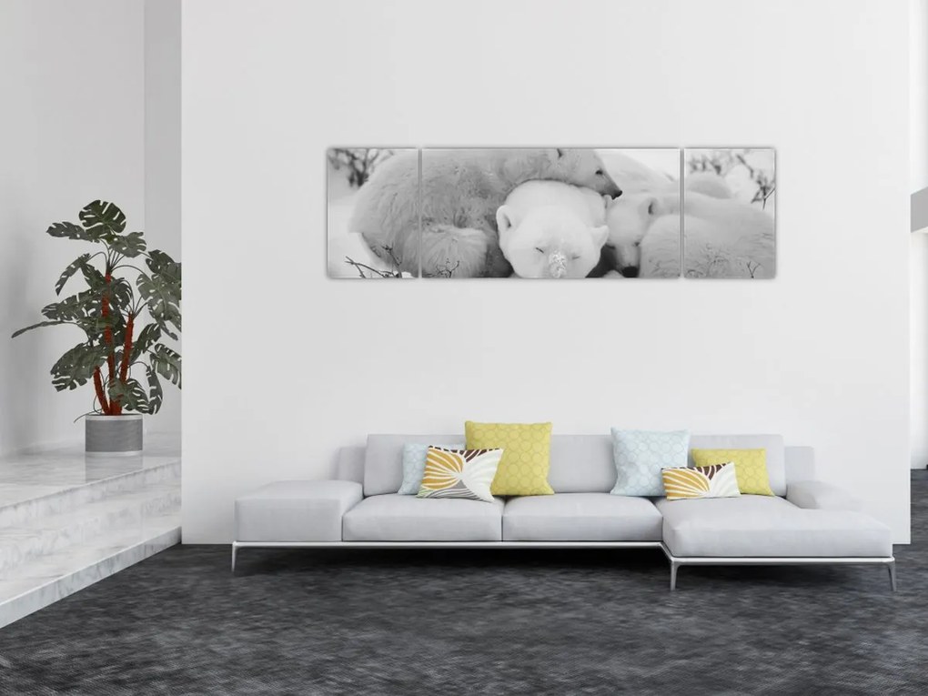 Obraz - Niedźwiedzie polarne (170x50 cm)