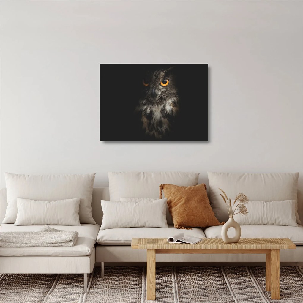Obraz na szkle - sowa (70x50 cm)