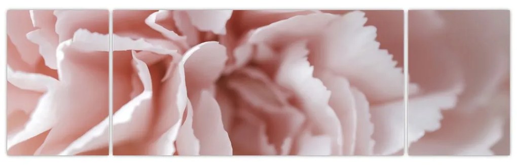 Obraz - Szczegół kwiatu (170x50 cm)