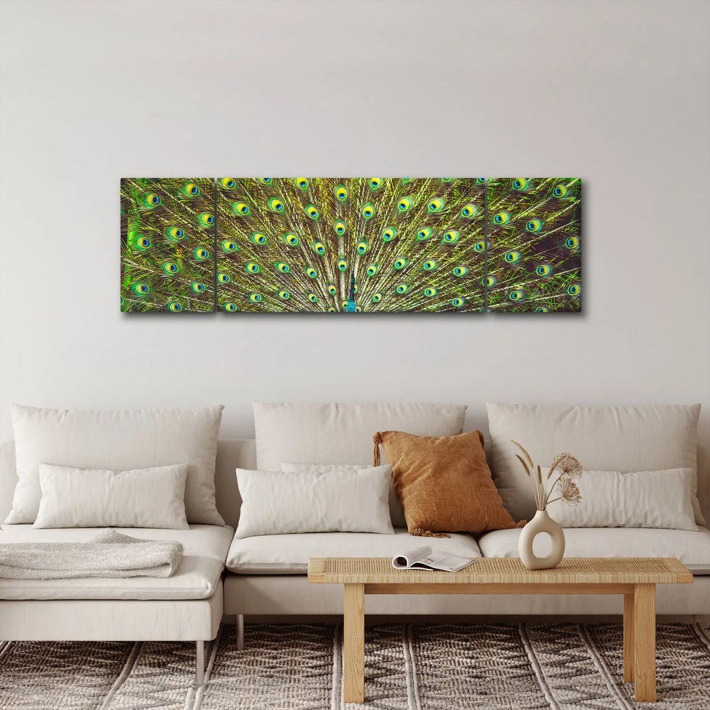 Obraz - Paw (170x50 cm)