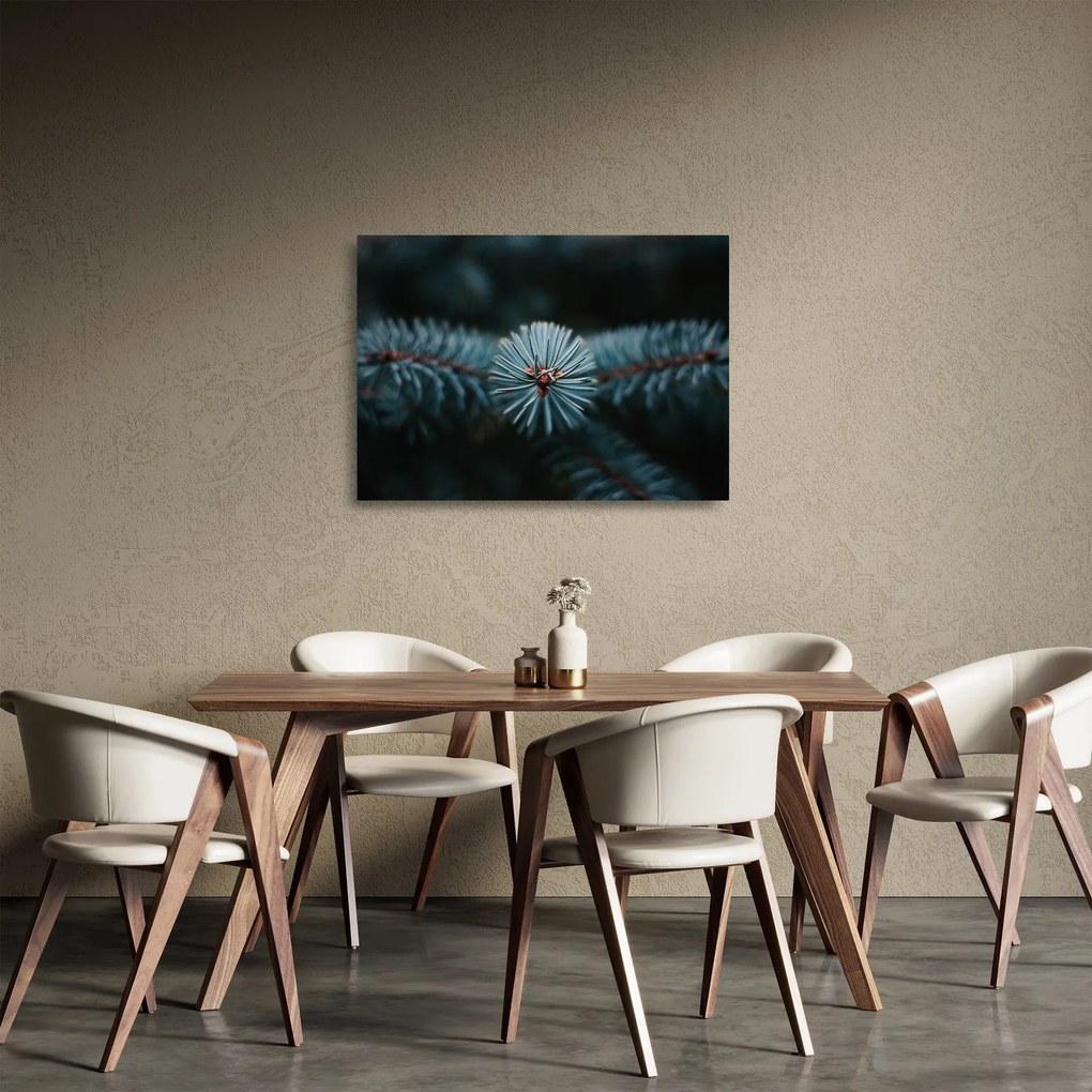 Obraz na szkle gałązki drzewa iglastego (70x50 cm)