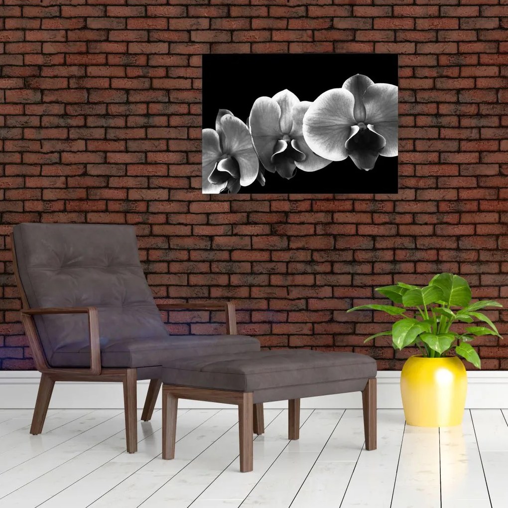 Obraz na szkle kwiatu orchidei (70x50 cm)
