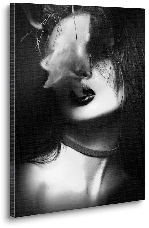 Obraz 70x100 cm Smoke – Styler